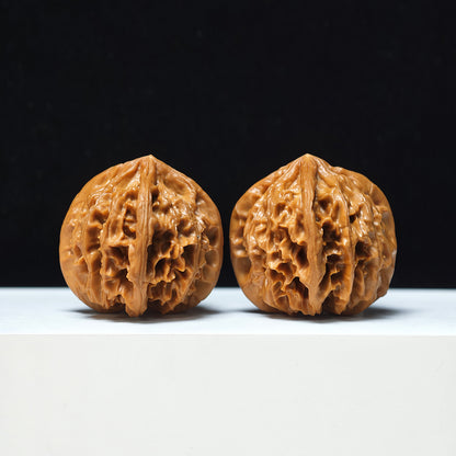 The "Four-Ribbed Coiled Dragon Tiger Head" Pan Long Hu Tou Si Leng Exotic Collector Pair | Rare Form Tier | 44.0mm x 50.0mm | YX-E-128832