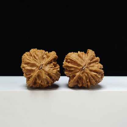 The "Beijing Heart" Beijing Ji Xin Classic Pair | S-Grade Collector Tier | 41.0mm x 40.0mm | JX-S-002034