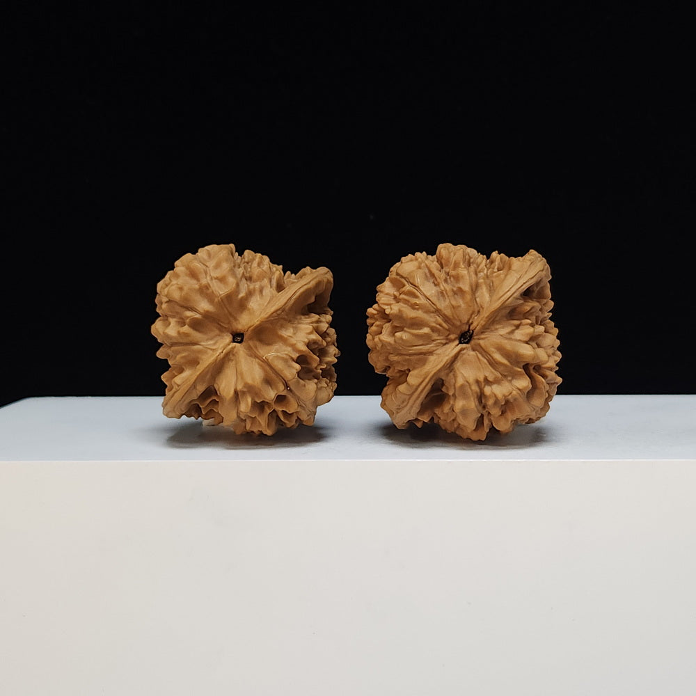 The "Qilin Texture" Qi Lin Wen Lion's Head Collector Pair | SS-Grade Masterpiece Tier | 45.0mm x 42.0mm | SZ-SS-013480