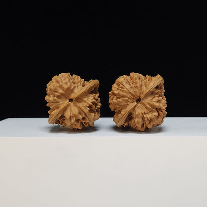 The "Qilin Texture" Qi Lin Wen Lion's Head Collector Pair | SS-Grade Masterpiece Tier | 45.0mm x 42.0mm | SZ-SS-013480