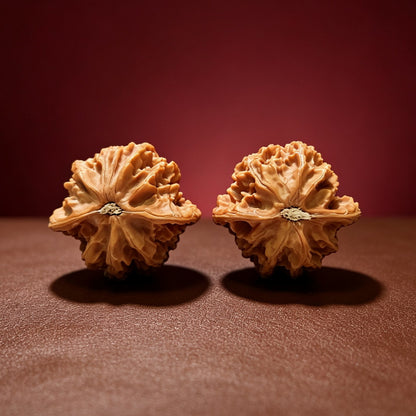 The "White Snake Valley" Collector Pair | AA-Grade Collector Tier | 41.0mm x 37.0mm | GM-AA-013635