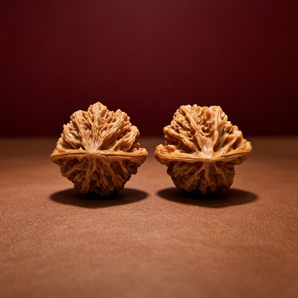 The "Deng Long Lantern" Collector Pair | A-Grade Collector Tier | 43.0mm x 43.0mm | DL-A-005718