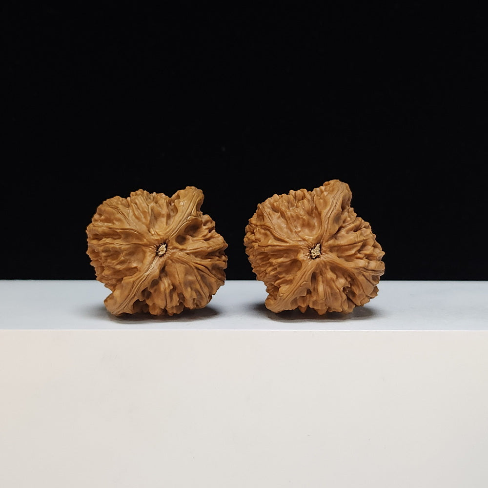 The "Water Dragon Texture" Shui Long Wen Lion's Head Collector Pair | S-Grade Investment Tier | 40.0mm x 39.0mm | SZ-S-034481