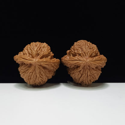 The "Nanjiang Stone" (Nanjiang Shi) Collector's Symmetrical Pair | 40.0mm x 39.0mm | NJS-AA-010672