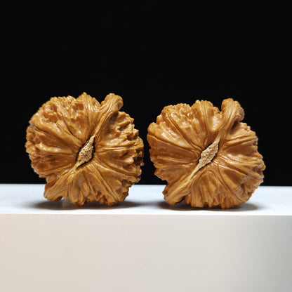 The "Sunken-Crown White Lion" Men Jian Bai Shi Zi Collector Pair | SS-Grade Masterpiece Tier | 42.0mm x 42.0mm | BSZ-SS-004368