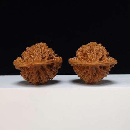 The "Peach-Heart Official Hat" Tao Xin Guan Mao Collector Pair | S-Grade Investment Tier | 50.0mm x 43.0mm | GM-S-010485