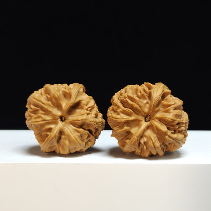 The "Spherical Peach-Heart Bison" Qiu Xing Tao Xin Ye Niu Pair | S-Grade Collector Tier | 37.0mm x 39.0mm | SZ-S-024365