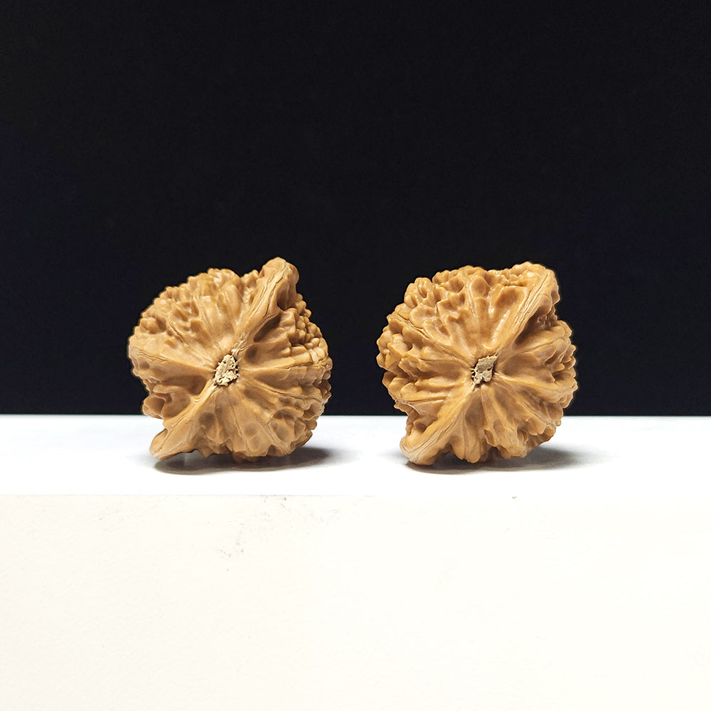 The "Deng Long Lantern" Collector Pair | A-Grade Collector Tier | 39.0mm x 34.0mm | DL-A-004717