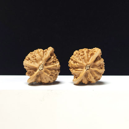 The "Deng Long Lantern" Collector Pair | A-Grade Collector Tier | 39.0mm x 34.0mm | DL-A-004717