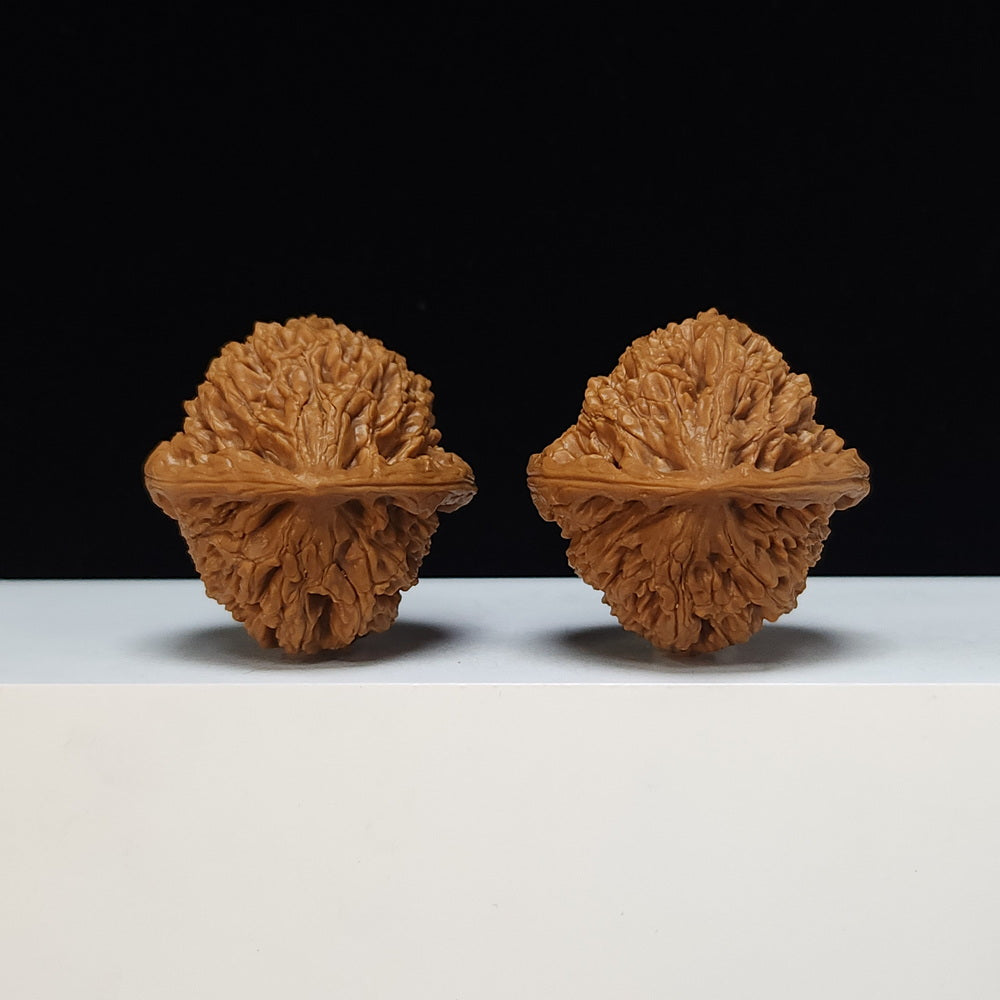 The "Peach-Heart Water Dragon" Tao Xin Shui Long Wen Lion's Head Pair | SSS-Grade Museum Tier | 43.0mm x 44.0mm | SZ-SSS-002486