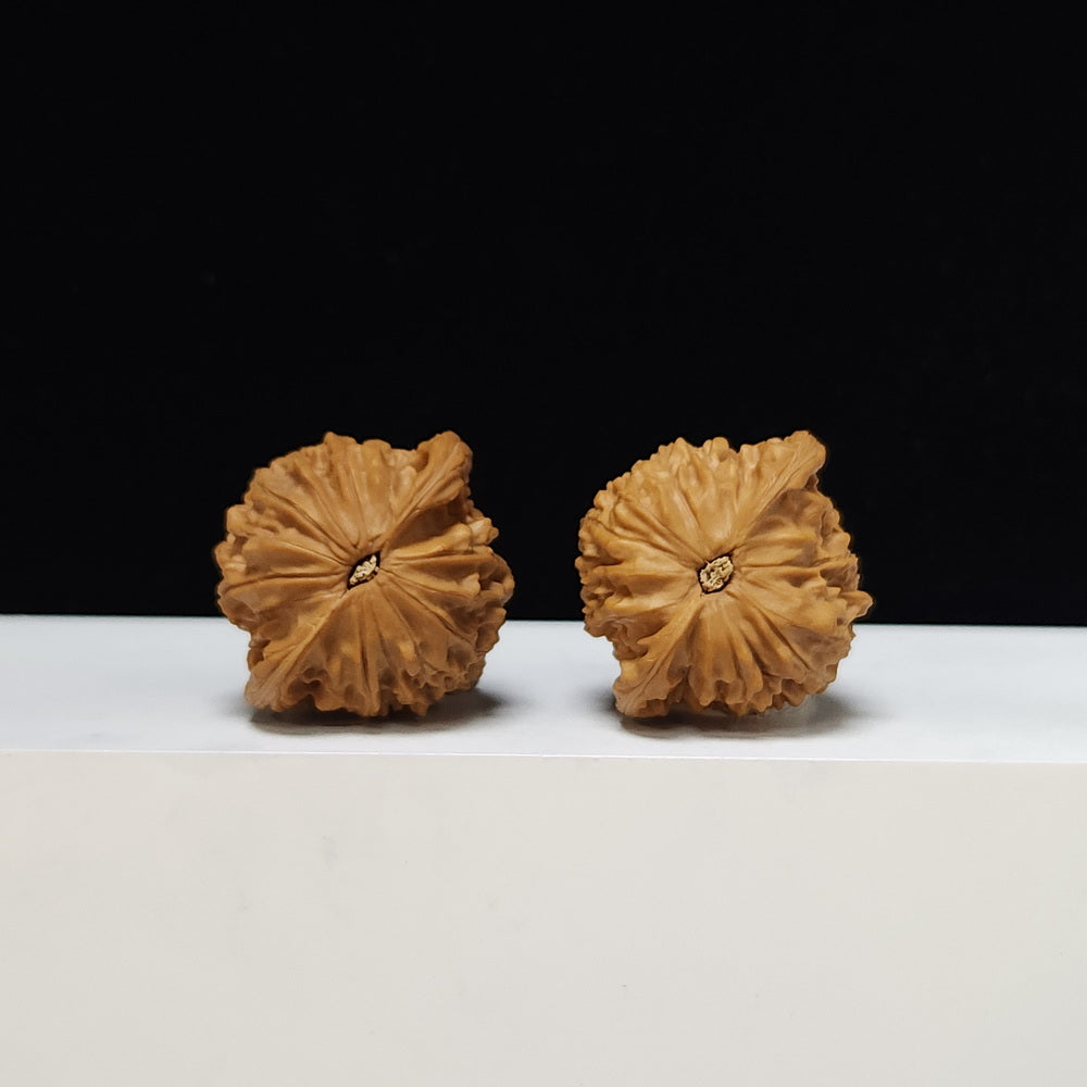 The "Millstone" Mo Pan Lion's Head Collector Pair | S-Grade Investment Tier | 41.0mm x 36.0mm | MP-S-001003