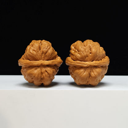 The "Toad Head" Ultimate Collector's Symmetrical Pair | 42.0mm x 43.0mm | HMT-SSS-001507