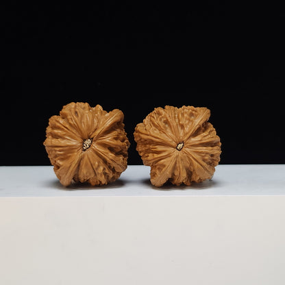 The "Sunken-Crown White Lion" Men Jian Bai Shi Zi Collector Pair | S-Grade Investment Tier | 42.0mm x 40.0mm | BSZ-S-013495