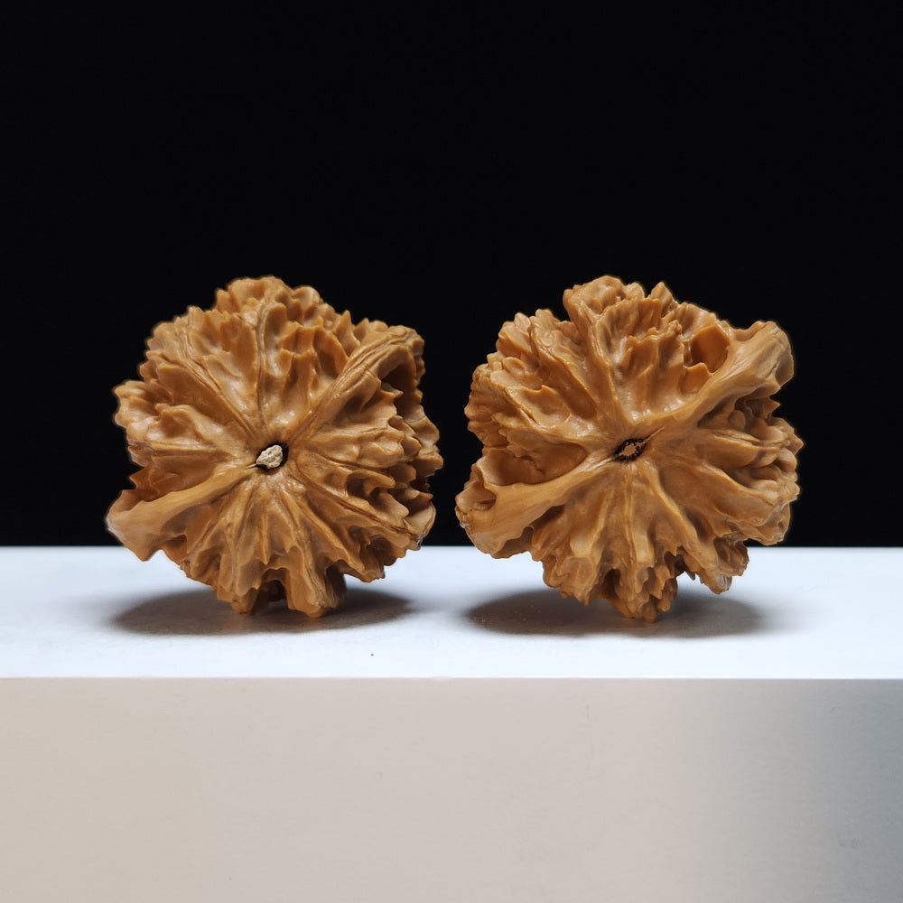 The "Shaanxi Lantern" (Shaanxi Denglong) Premium Symmetrical Collector's Pair | 46.0mm x 43.0mm | DL-S-001466