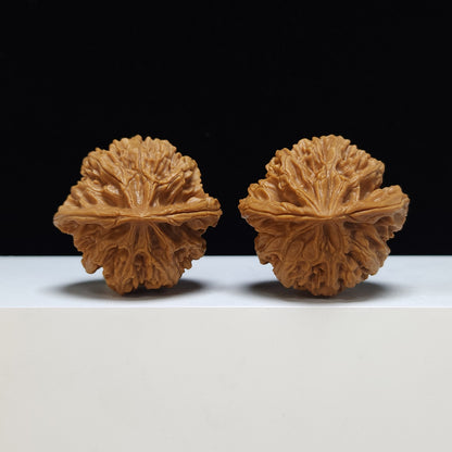 The "Peach Heart Lantern" Deng Long Lion's Head Pair | S-Grade Collector Tier | 44.0mm x 41.0mm | SZ-S-020353