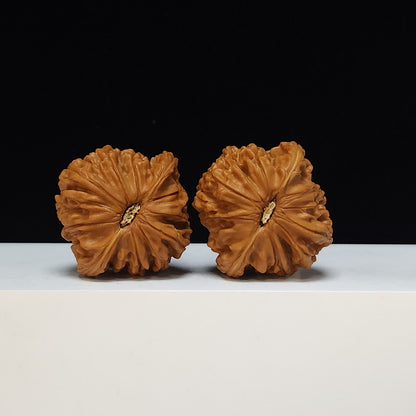 The "Millstone" Mo Pan Lion's Head Collector Pair | SS-Grade Masterpiece Tier | 44.0mm x 41.0mm | MP-SS-008484