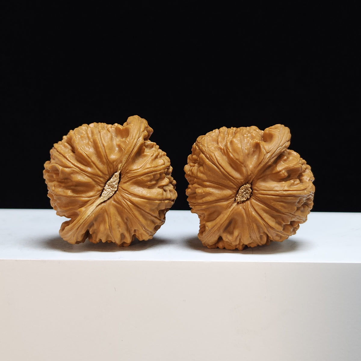 The "Sunken-Crown White Lion" Men Jian Bai Shi Zi Collector Pair | SS-Grade Masterpiece Tier | 41.0mm x 39.0mm | BSZ-SS-005369