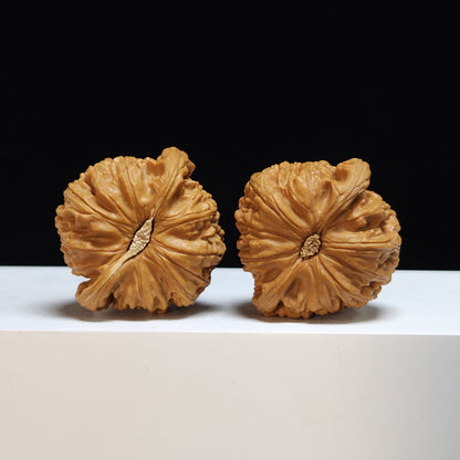 The "Sunken-Crown White Lion" Men Jian Bai Shi Zi Collector Pair | SS-Grade Masterpiece Tier | 41.0mm x 39.0mm | BSZ-SS-005369