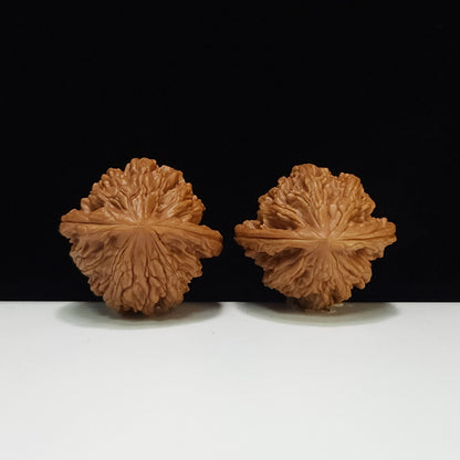 The "Wheat Ear Tiger Head Pocket Play" (Mai Sui Hu Tou Shou Nian) Premium Symmetrical Pair | 35.0mm x 34.0mm | HT-AA-009663