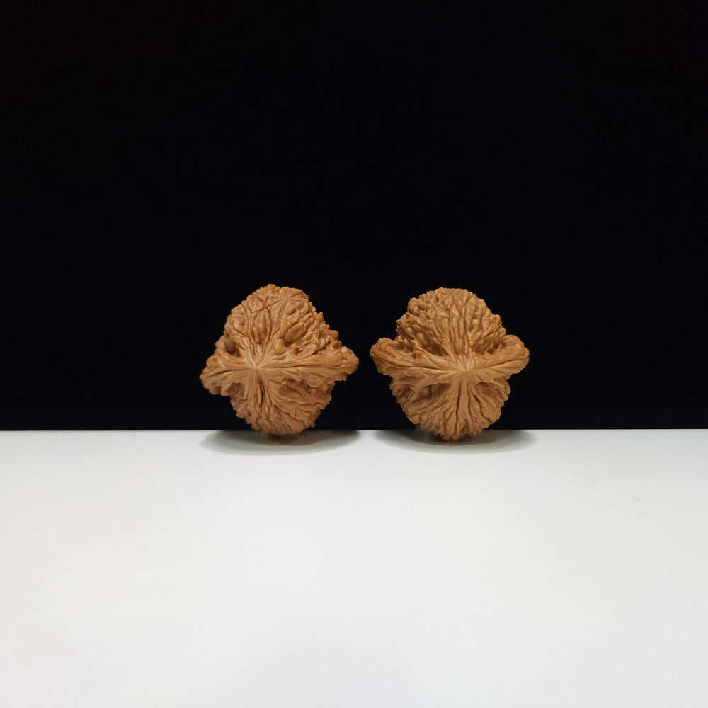 The "Nanjiang Stone" (Nanjiang Shi) Collector's Symmetrical Pair | 38.0mm x 37.0mm | NJS-AA-011673