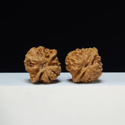 The "Imperial Jade Qilin" Yu Qi Lin Lion's Head Pair | S-Grade Collector Tier | 40.0mm x 39.0mm | SZ-S-035499