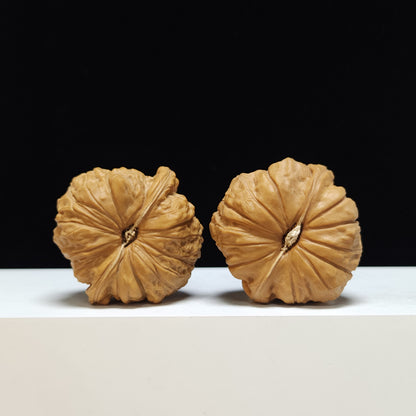 The "Pumpkin Cake" Nan Gua Bing Ultra-Squat Pair | SS-Grade Imperial Tier | 46.0mm x 46.0mm | SZ-SS-010352