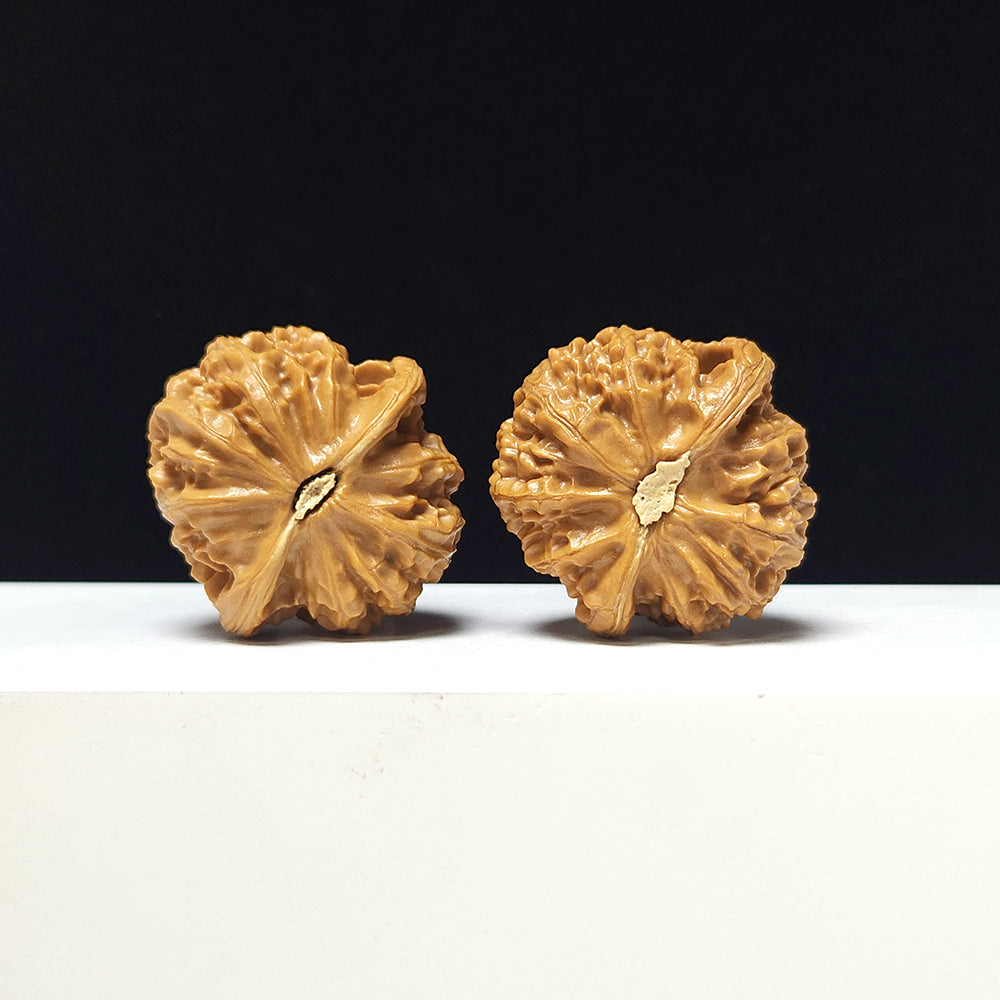 The "Lantern" Collector Pair | AA-Grade Collector Tier | 41.0mm x 41.0mm | SZ-AA-057712