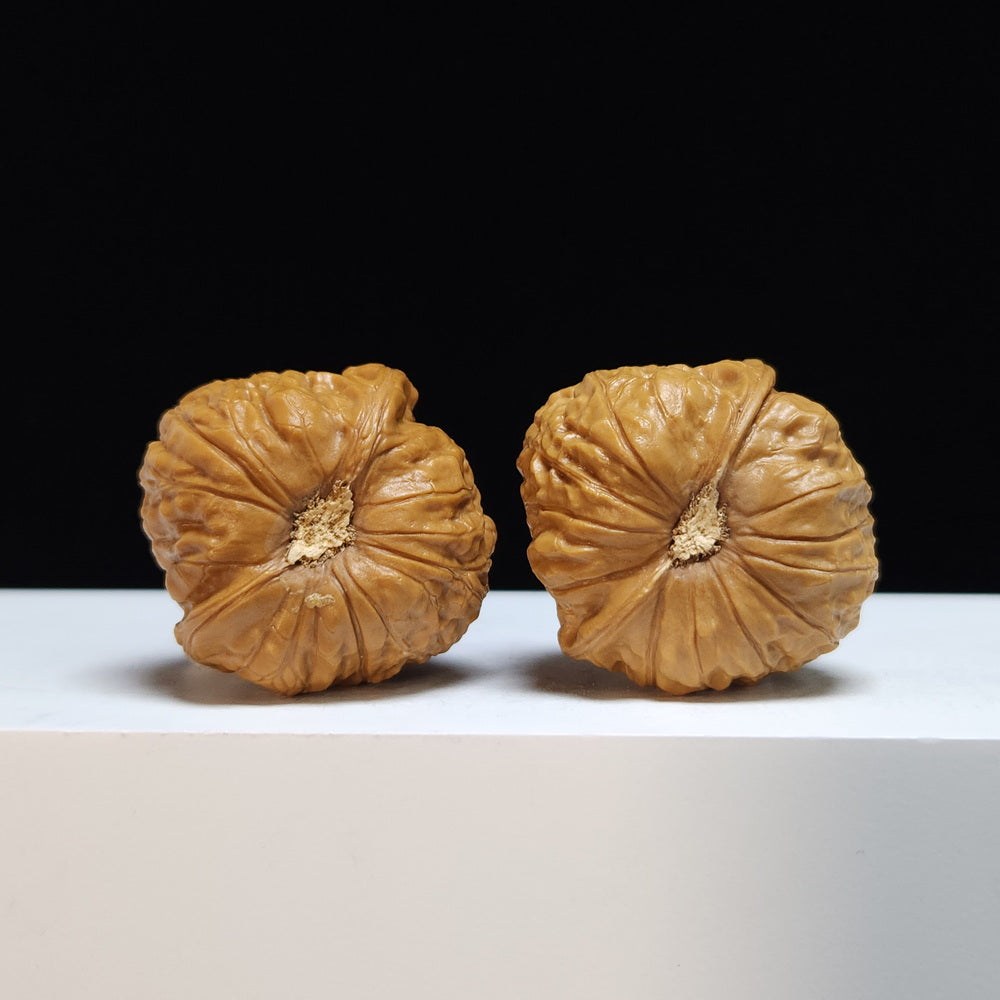 The "Little Pumpkin Squat" (Xiao Nan Gua Dun) Premium Symmetrical Pair | 40.0mm x 37.0mm | SZ-S-029448
