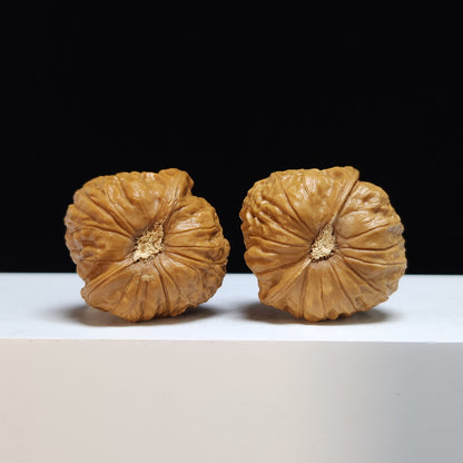 The "Little Pumpkin Squat" (Xiao Nan Gua Dun) Premium Symmetrical Pair | 40.0mm x 37.0mm | SZ-S-029448