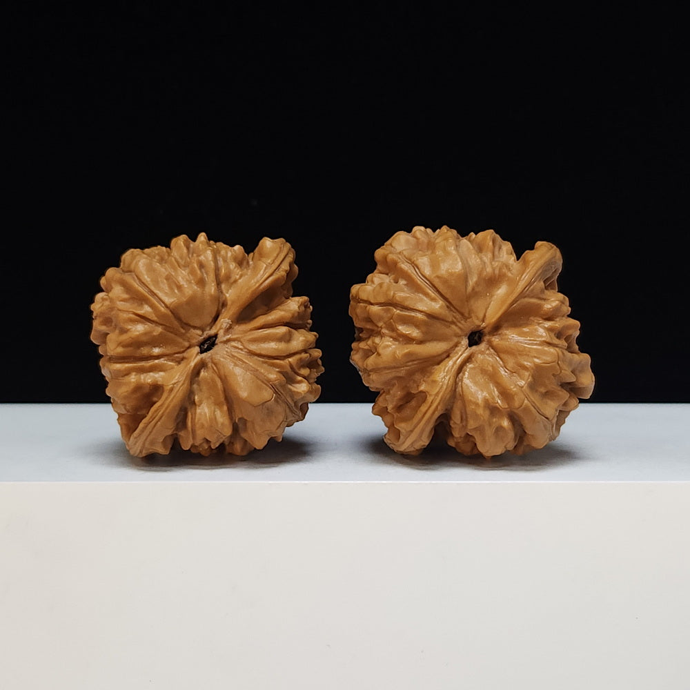 The "Qilin Texture" Qi Lin Wen Lion's Head Collector Pair | SS-Grade Masterpiece Tier | 46.0mm x 44.0mm | SZ-SS-014487