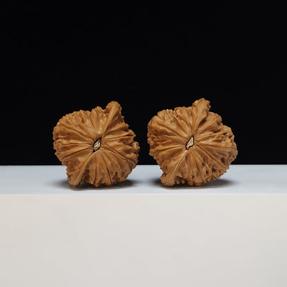 The "Millstone" Mo Pan Lion's Head Collector Pair | SS-Grade Masterpiece Tier | 43.0mm x 42.0mm | MP-SS-007482