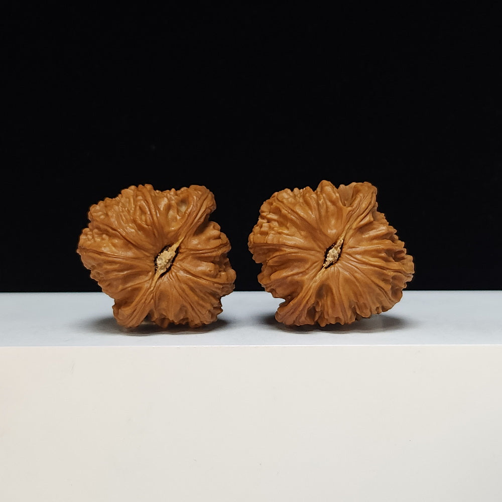 The "Spherical Round" Bai Shi Zi Lion's Head Pair | S-Grade Collector Tier | 41.0mm x 41.0mm | BSZ-S-011491