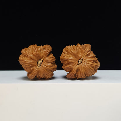 The "Spherical Round" Bai Shi Zi Lion's Head Pair | S-Grade Collector Tier | 41.0mm x 41.0mm | BSZ-S-011491