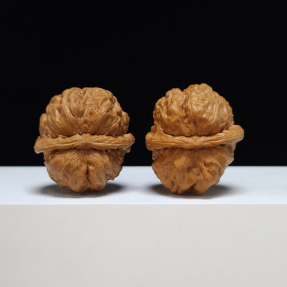 The "Toad Head" Ha Ma Tou Collector Pair | S-Grade Investment Tier | 38.0mm x 41.0mm | HMT-S-001355
