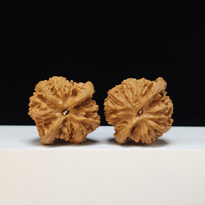 The "Taihang Thick-Rib" (Taihang Cu Jin) Heritage Symmetrical Pair | 42.0mm x 40.0mm | SZ-SSS-001472