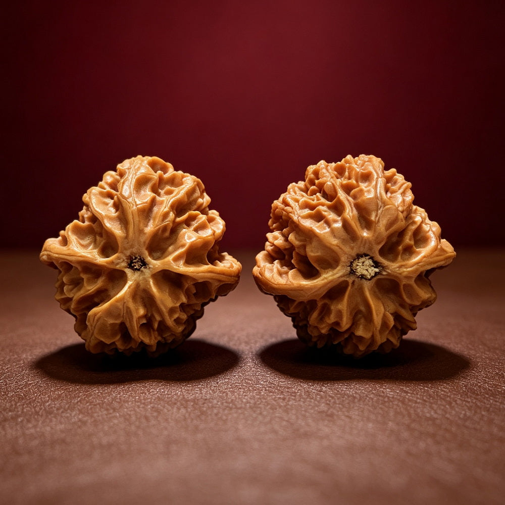 The "Apple Garden" Collector Pair | A-Grade Collector Tier | 39.0mm x 38.0mm | PGY-A-011694