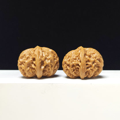 The "Lantern" Collector Pair | AA-Grade Collector Tier | 41.0mm x 41.0mm | SZ-AA-057712