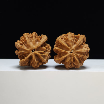 The "Peach Heart Lantern" Deng Long Lion's Head Pair | S-Grade Collector Tier | 44.0mm x 41.0mm | SZ-S-020353
