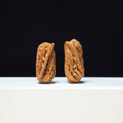 The "Penguin Gold Bar" Qi E Jin Tiao Exotic Hand-Twister Pair | Rare Form Tier | 22.0mm x 22.0mm | YX-E-154858