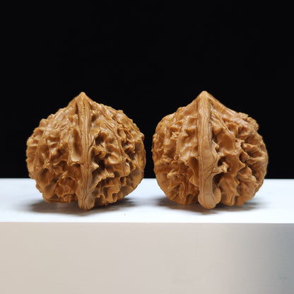 The "Shaanxi Lantern" (Shaanxi Denglong) Premium Symmetrical Collector's Pair | 46.0mm x 43.0mm | DL-S-001466