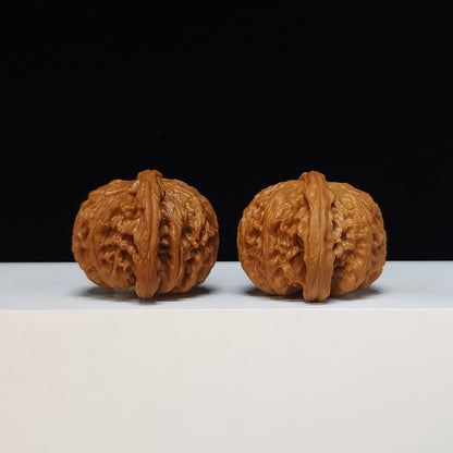 The White Lion Bai Shi Zi Collector Pair | SS-Grade Masterpiece Tier | 42.0mm x 41.0mm | BSZ-SS-011494