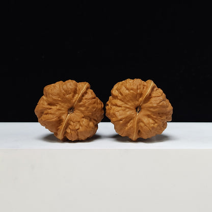 The "Red Shell Toad Head" (Hong Ke Ha Ma Tou) Ultimate Symmetrical Pair | 41.0mm x 42.0mm | HMT-SS-001508
