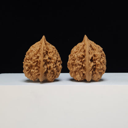 The "Qilin Texture" Qi Lin Wen Lion's Head Collector Pair | SS-Grade Masterpiece Tier | 45.0mm x 42.0mm | SZ-SS-013480