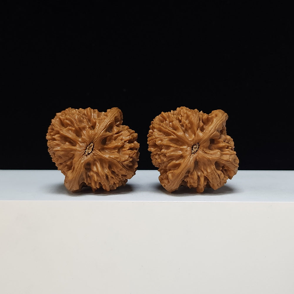 The "Peach-Heart Water Dragon" Tao Xin Shui Long Wen Lion's Head Pair | SSS-Grade Museum Tier | 43.0mm x 44.0mm | SZ-SSS-002486