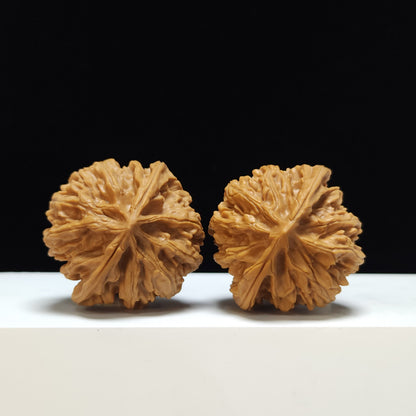 The "Peach Heart Lantern" Deng Long Lion's Head Sovereign Pair | SS-Grade Imperial Tier | 46.0mm x 44.0mm | SZ-SS-011354