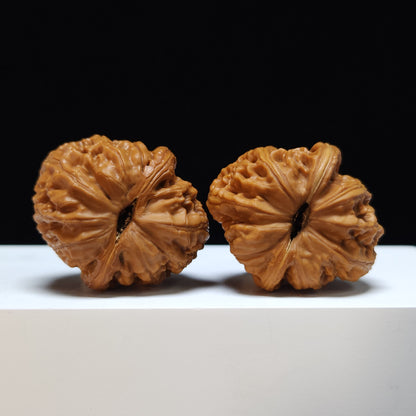 The "Pinggu Ingot" Pinggu Yuan Bao Collector Pair | S-Grade Investment Tier | 38.0mm x 43.0mm | PG-S-005364