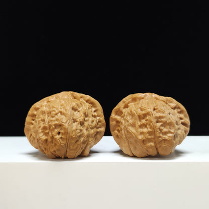 The "Pumpkin Cake" Nan Gua Bing Ultra-Squat Pair | SS-Grade Imperial Tier | 46.0mm x 46.0mm | SZ-SS-010352
