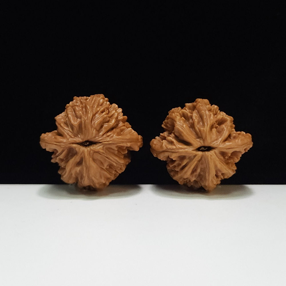 The "Wheat Ear Tiger Head Pocket Play" (Mai Sui Hu Tou Shou Nian) Premium Symmetrical Pair | 35.0mm x 34.0mm | HT-AA-009663
