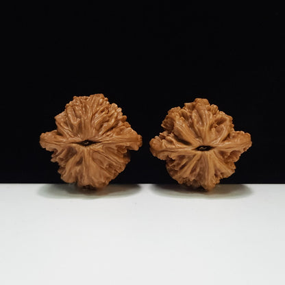 The "Wheat Ear Tiger Head Pocket Play" (Mai Sui Hu Tou Shou Nian) Premium Symmetrical Pair | 35.0mm x 34.0mm | HT-AA-009663