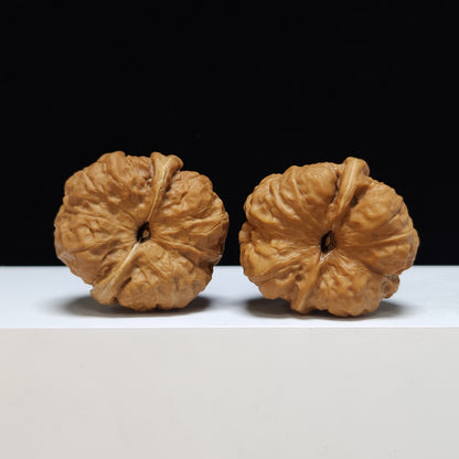 The "Toad Head" Ha Ma Tou Collector Pair | S-Grade Investment Tier | 38.0mm x 41.0mm | HMT-S-001355